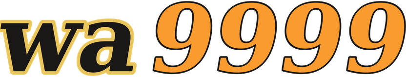 wa9999 logo